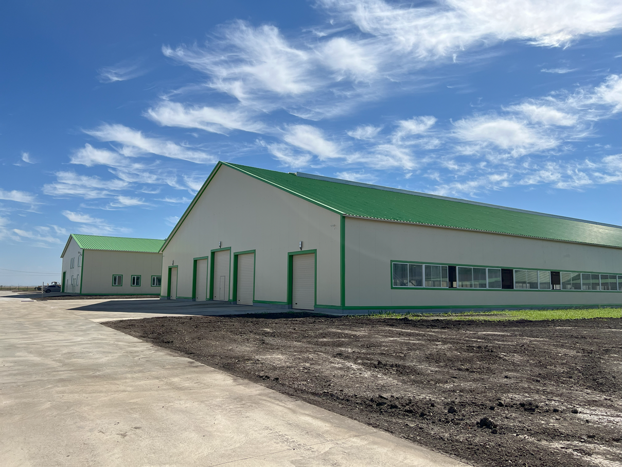 В Казахстане завершили строительство крупной молочной фермы на 1500 коров